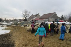 20150422_kliny_013