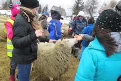 20150422_kliny_016
