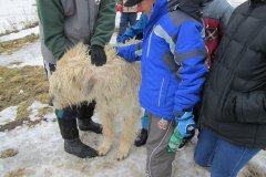 20150422_kliny_025