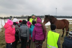 20150422_kliny_028