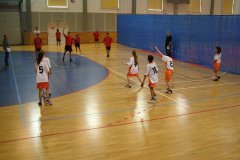 20150423_vybijena_009