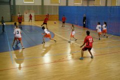 20150423_vybijena_010