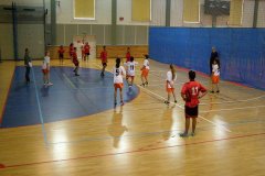 20150423_vybijena_012