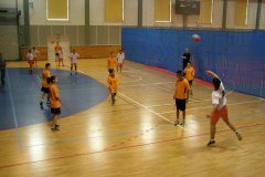 20150423_vybijena_016