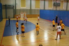 20150423_vybijena_017