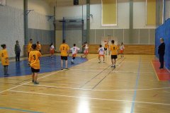 20150423_vybijena_019