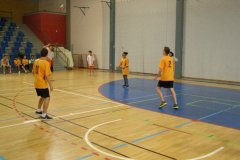 20150423_vybijena_025