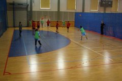 20150423_vybijena_027