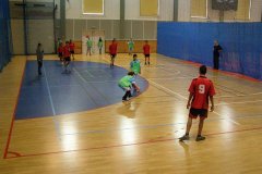 20150423_vybijena_028