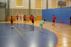 20150423_vybijena_032