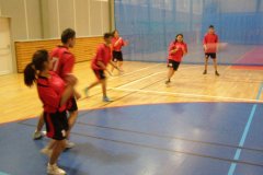 20150423_vybijena_034