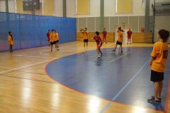 20150423_vybijena_036