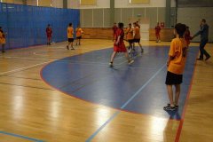 20150423_vybijena_037