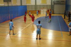 20150423_vybijena_039