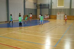 20150423_vybijena_041