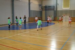 20150423_vybijena_042