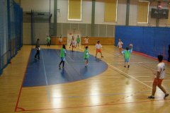 20150423_vybijena_043