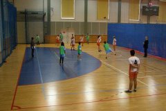 20150423_vybijena_044