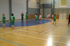 20150423_vybijena_045