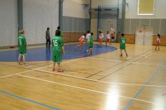 20150423_vybijena_046