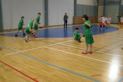 20150423_vybijena_047