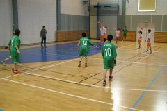 20150423_vybijena_048