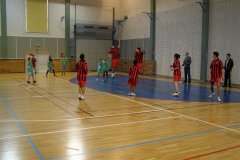 20150423_vybijena_051