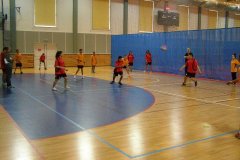 20150423_vybijena_052