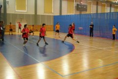 20150423_vybijena_053