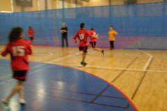 20150423_vybijena_054