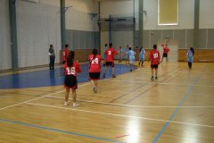 20150423_vybijena_055