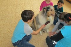 20151116_canisterapie_002
