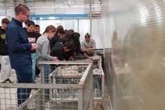 IMG-20221109-WA0027