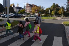 IMG_20231023_114557153