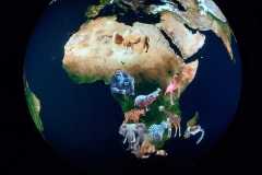 IMG-20230502-WA0021