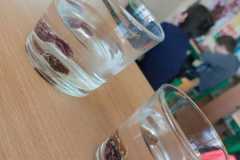 IMG-20230322-WA0029