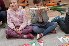 IMG-20241112-WA0013
