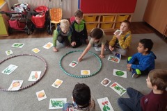 IMG_20241111_110429
