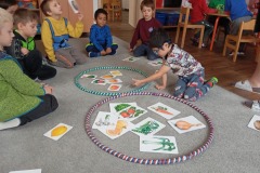 IMG_20241111_110659