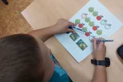 IMG-20250925-WA0057