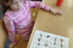 IMG_20250306_092601