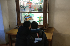 IMG_20250121_093553