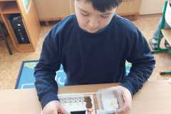 IMG-20250306-WA0045