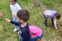 IMG-20250414-WA0027