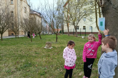 IMG-20250414-WA0062