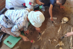 IMG-20250613-WA0004
