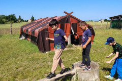 IMG-20250613-WA0022