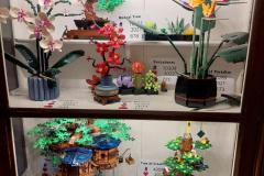 IMG-20250121-WA0015