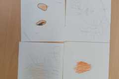 IMG-20250207-WA0002