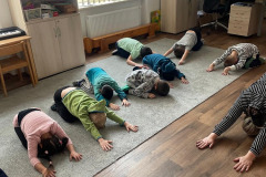 IMG-20250221-WA0049